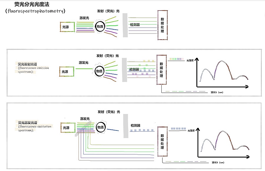 激發濾光片 激發濾光片